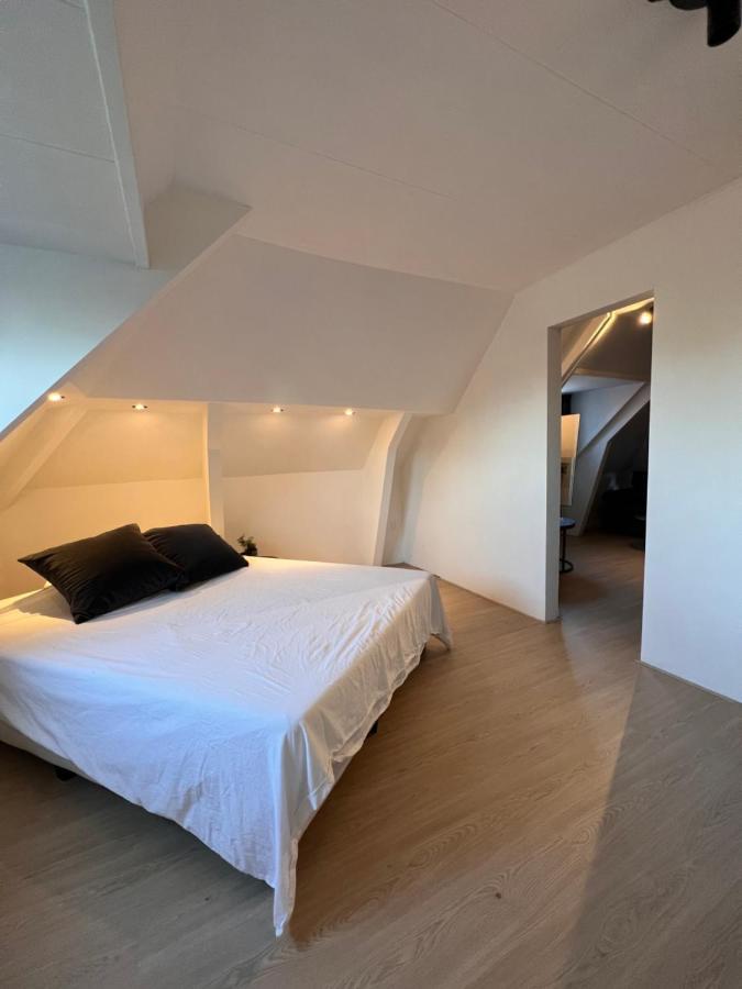 Studio Wijkhuizen Zandvoort Kültér fotó
