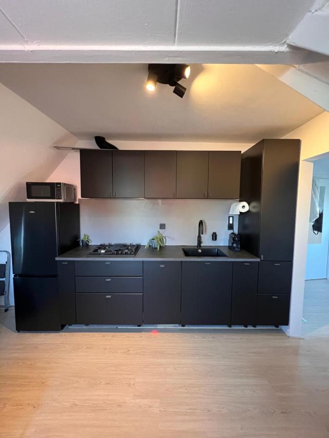 Studio Wijkhuizen Zandvoort Kültér fotó